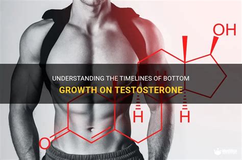 trans bottom growth meaning|Understanding Bottom Growth on Testosterone: A。